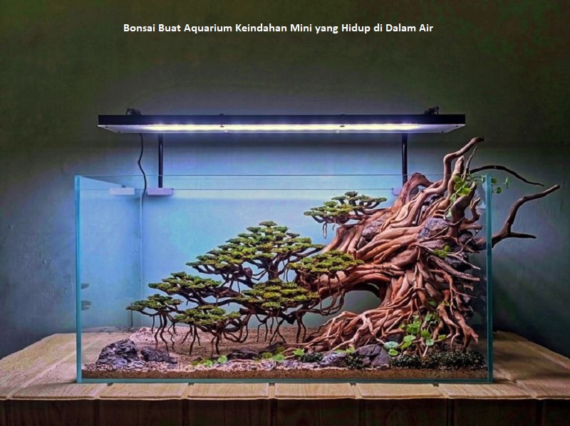 Bonsai Buat Aquarium Keindahan Mini yang Hidup di Dalam Air