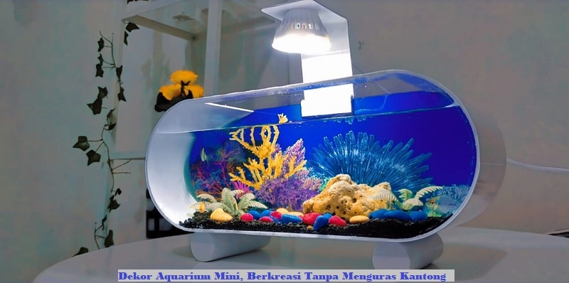 Dekor Aquarium Mini, Berkreasi Tanpa Menguras Kantong