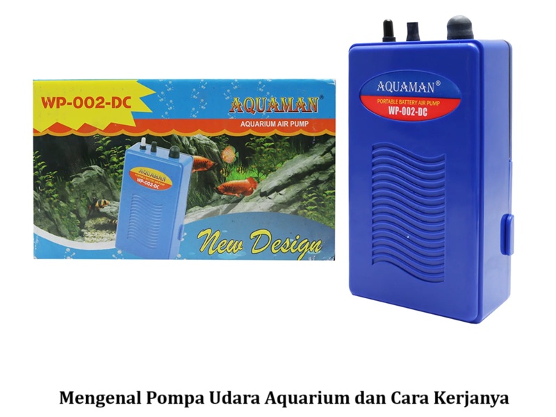 Mengenal Pompa Udara Aquarium dan Cara Kerjanya